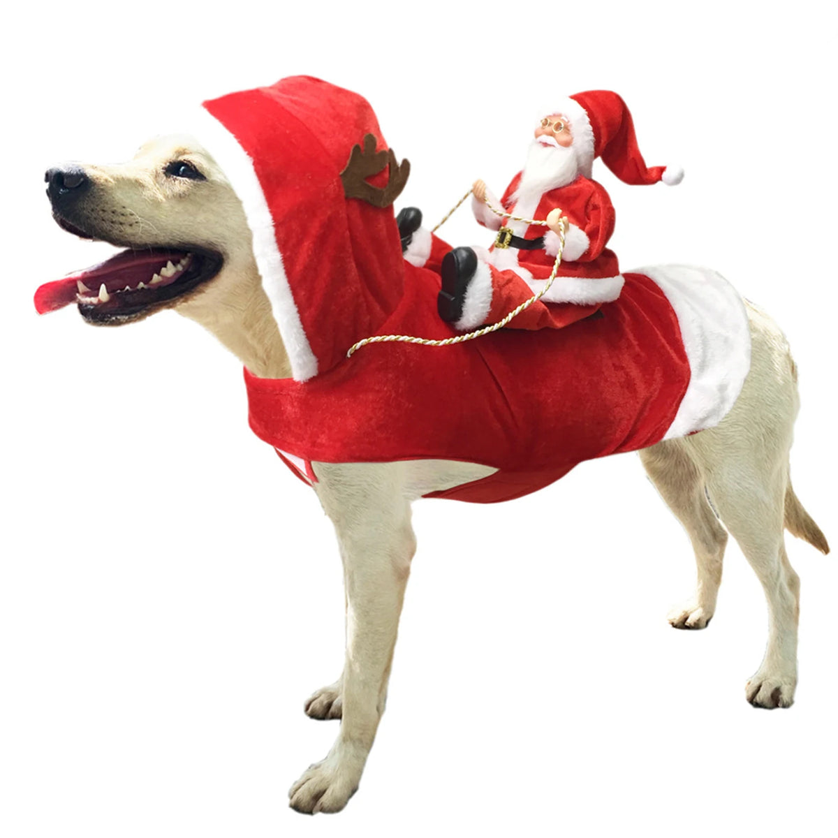 Festive Santa Rider Pet Costume