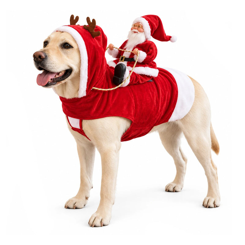 Festive Santa Rider Pet Costume